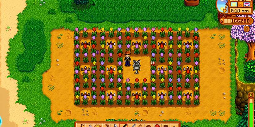 Tulip Garden in Stardew Valley.