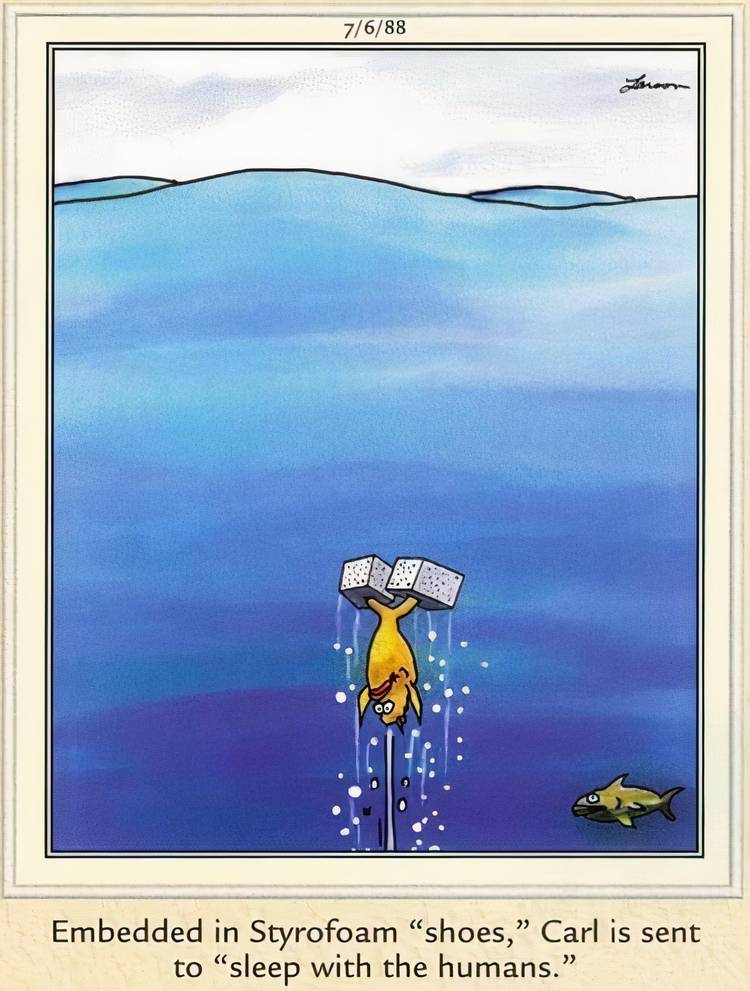 A fish with styrofoam on his fins floating to the surface in The Far Side.
