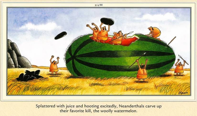 Cavemen eating a giant watermelon in The Far Side.