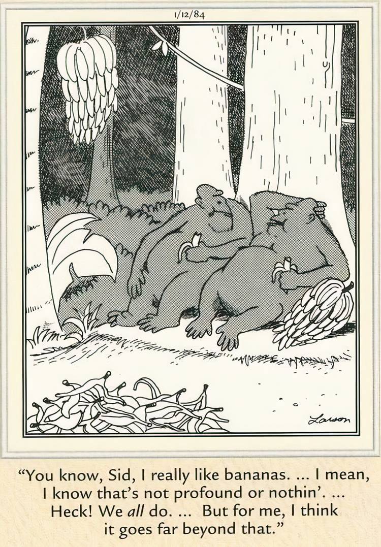 A couple of apes eating bananas in The Far Side.