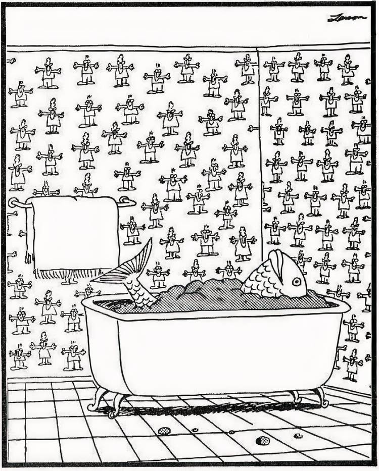 A fish taking a bath in The Far Side.