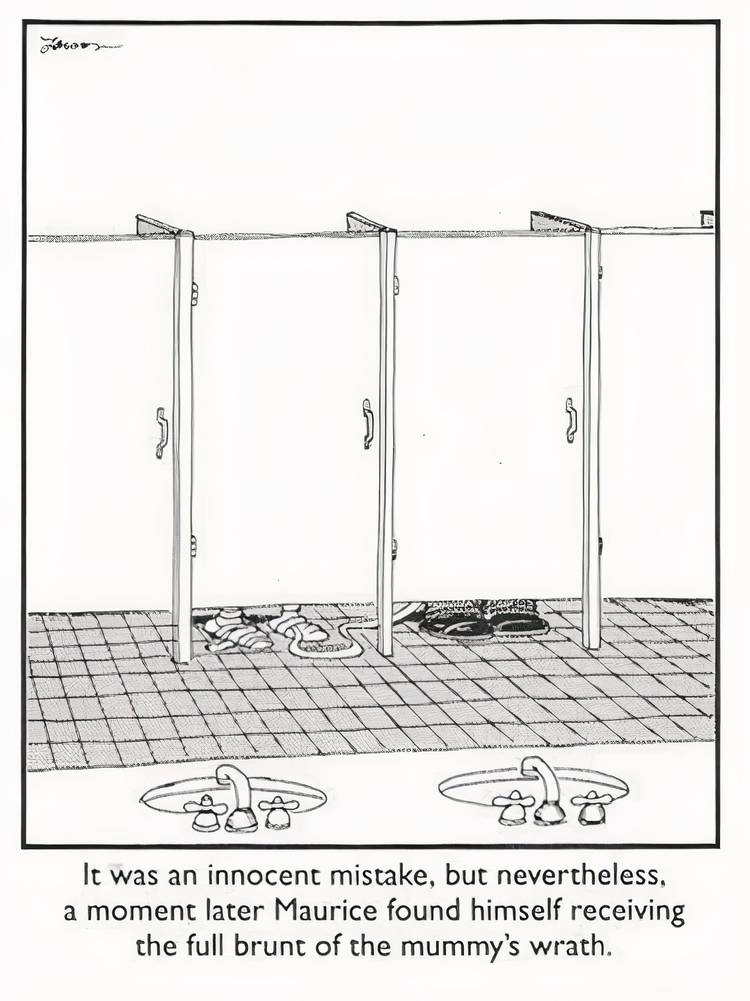 A man using a mummy's wrap as toilet paper in The Far Side.
