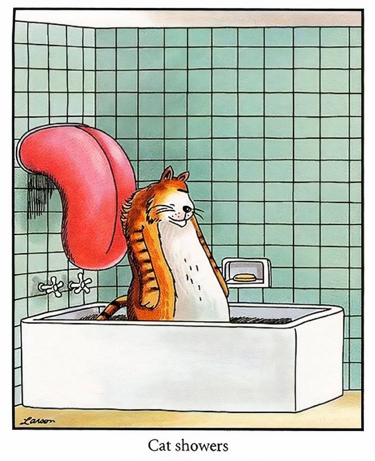 A cat being licked clean by a giant tongue in the bathroom in The Far Side.