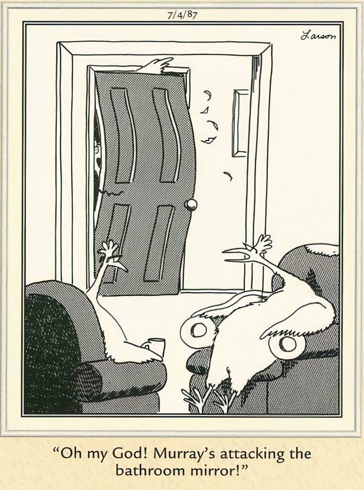 A chicken going crazy in a bathroom while his parents watch from the living room in The Far Side.