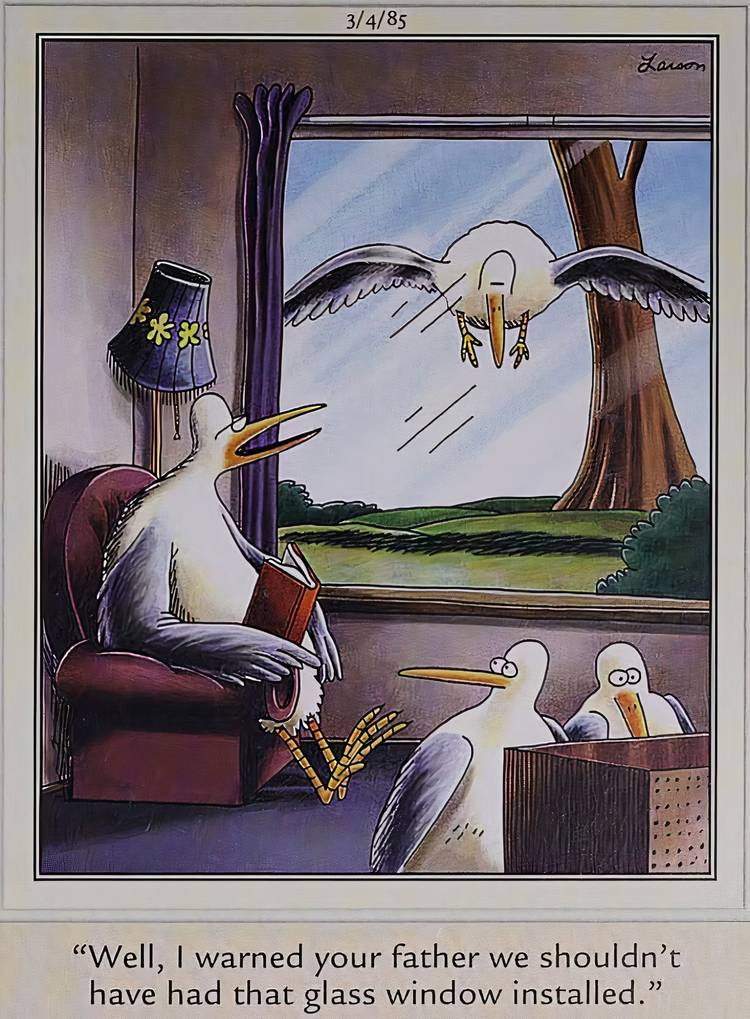 A bird flying into a glass window in front of his family in The Far Side.