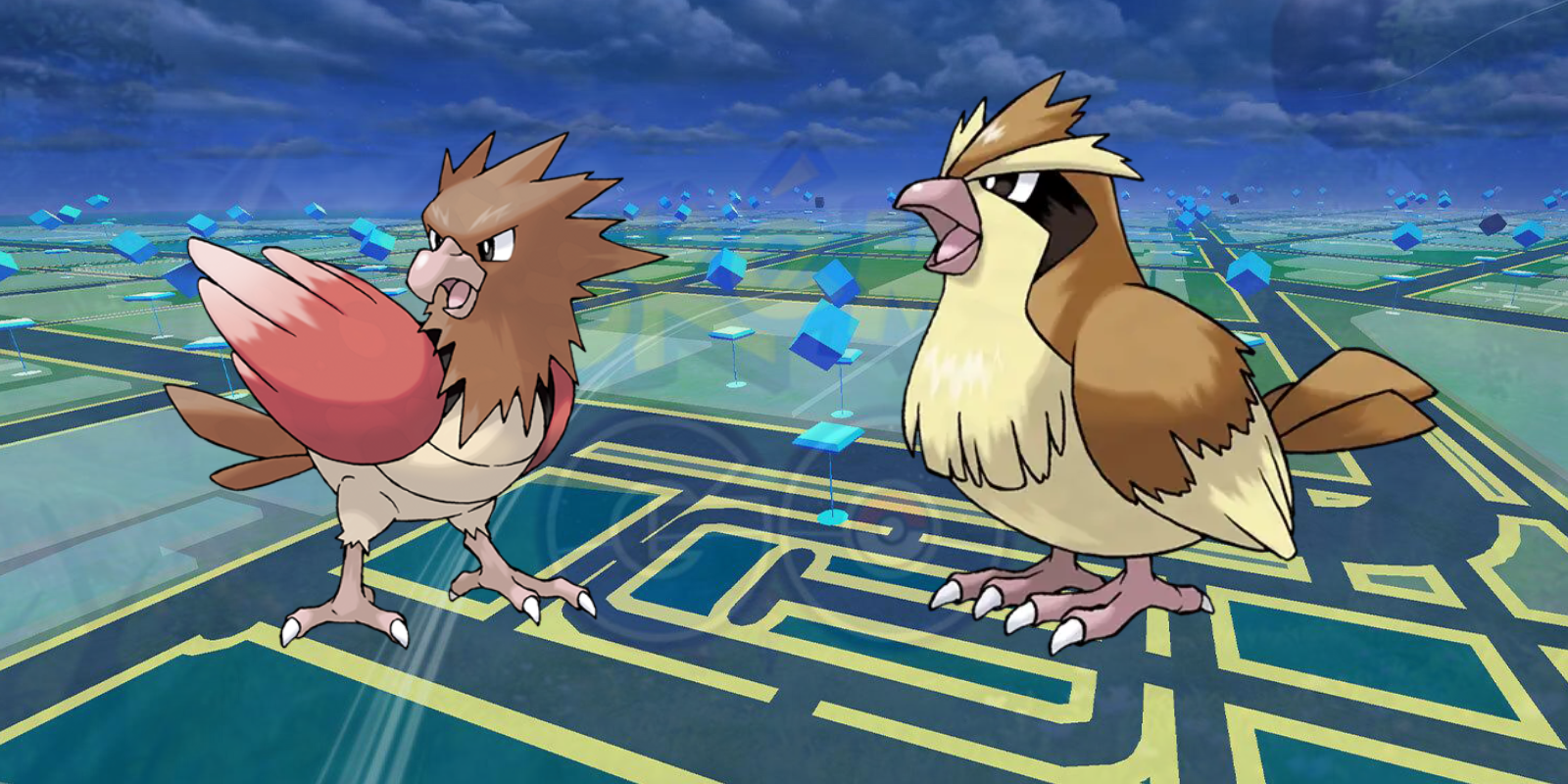 Pokemon Go Pidgey und Spearow