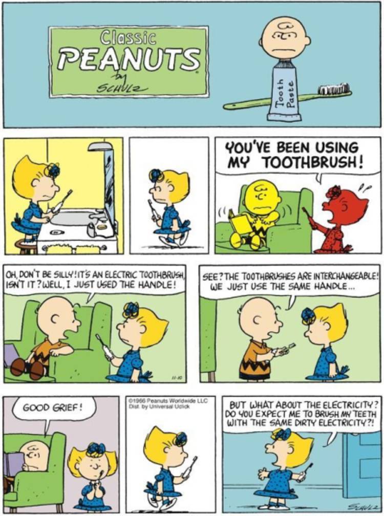 Sally and Charlie Brown arguing over a toothbrush.