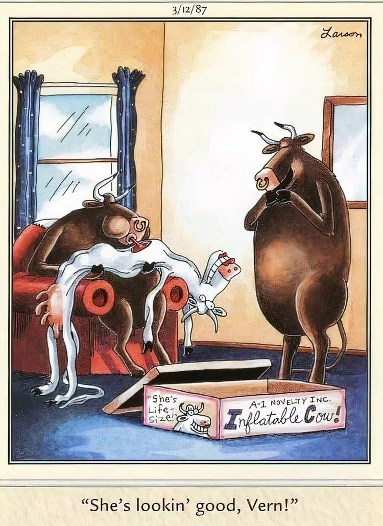 Two bulls blowing up a cow sex doll in The Far Side.