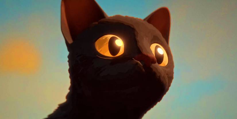 A closeup of the cat in Flow 2024
