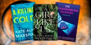 10 Biggest Mystery Thriller Books Coming Out In February 2025