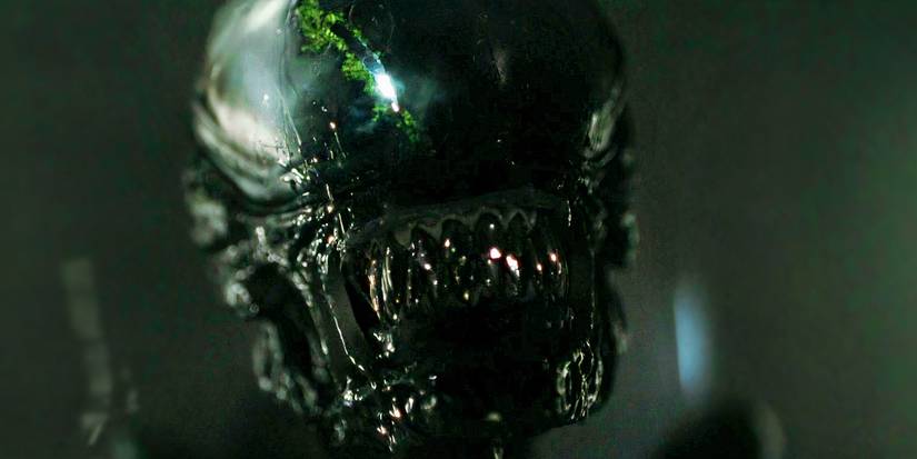 Close-up of a Xenomorph in Alien Romulus