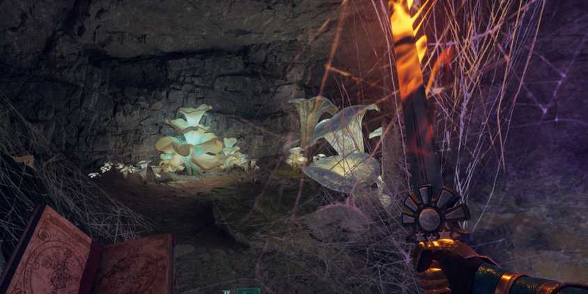 spider webs burning in avowed