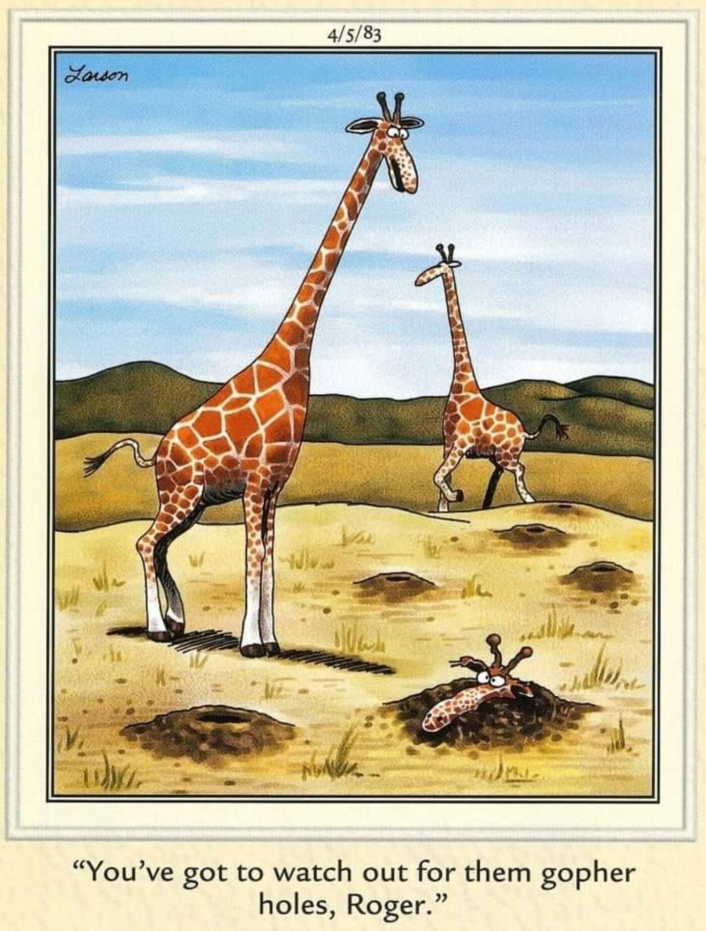 The opposite side, the head of a giraffe leaving the floor with two others watching.