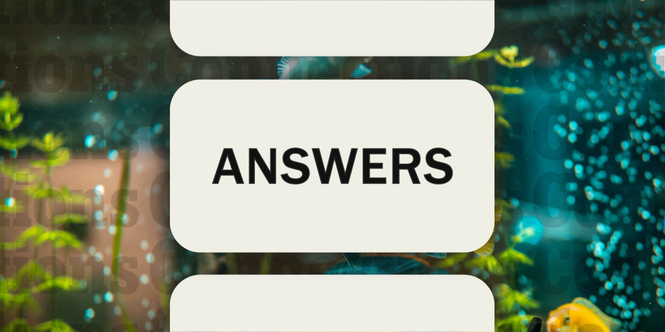 Fish tank in Connections Answers February 25