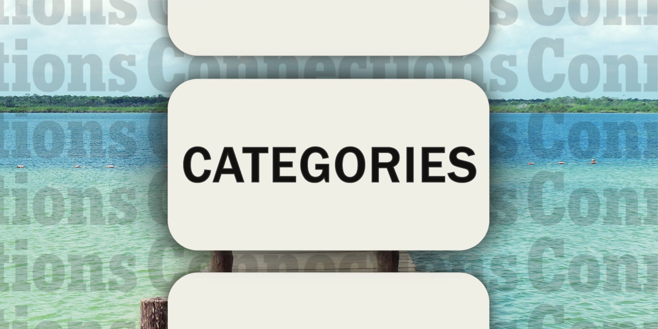 Dock in Connections Categories February 19