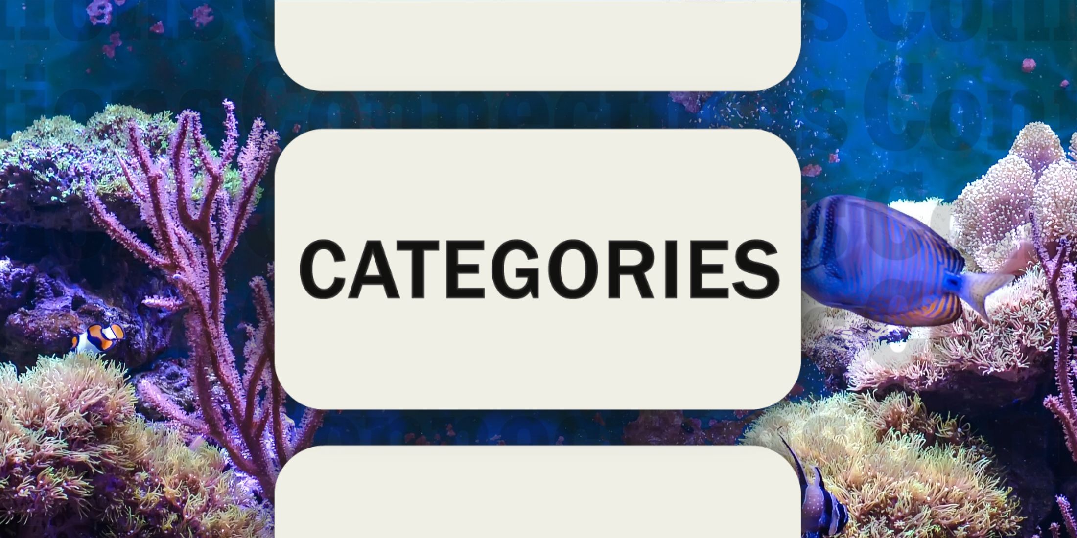 Fish tank in Connections Categories February 25