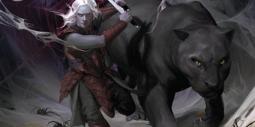 Drizzt Do'Urden and Guenhwyvar of The Legend of Drizzt Dungeons & Dragons The Dark Elf Trilogy Homeland