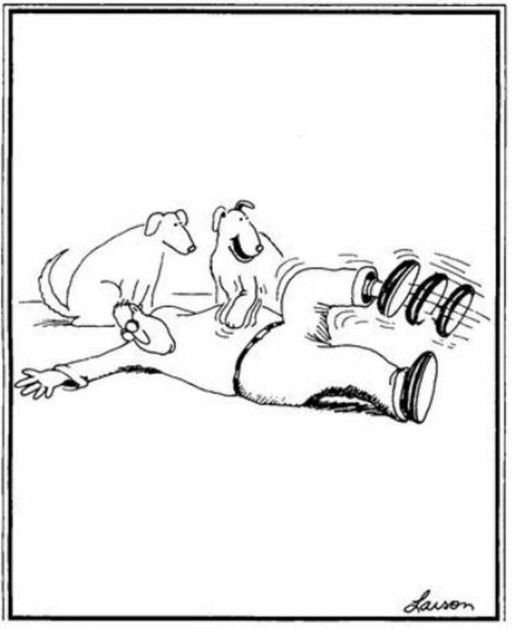 Far Side, a dog scratches his owner's belly and makes him kick his leg like a dog