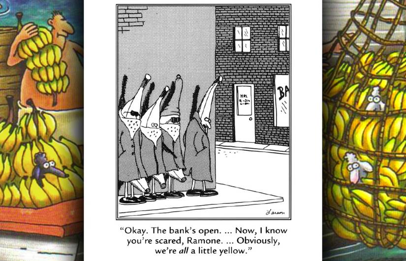 far side banana bank robbery comic