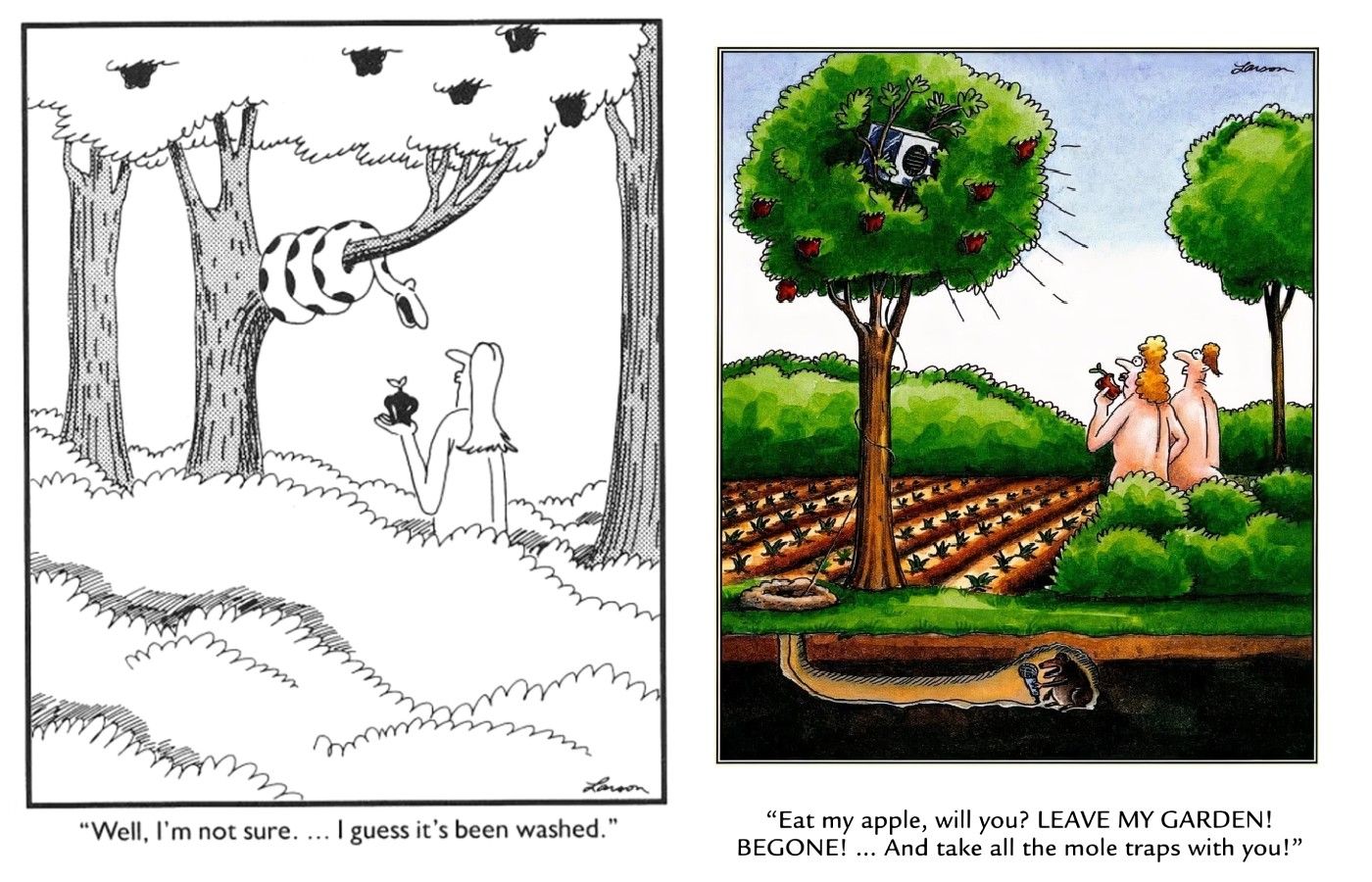 far side eden comic