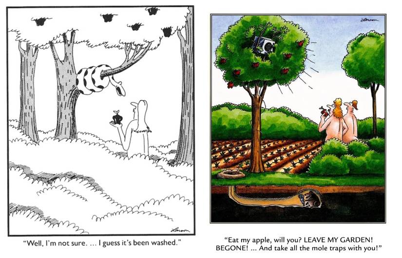 far side eden comic