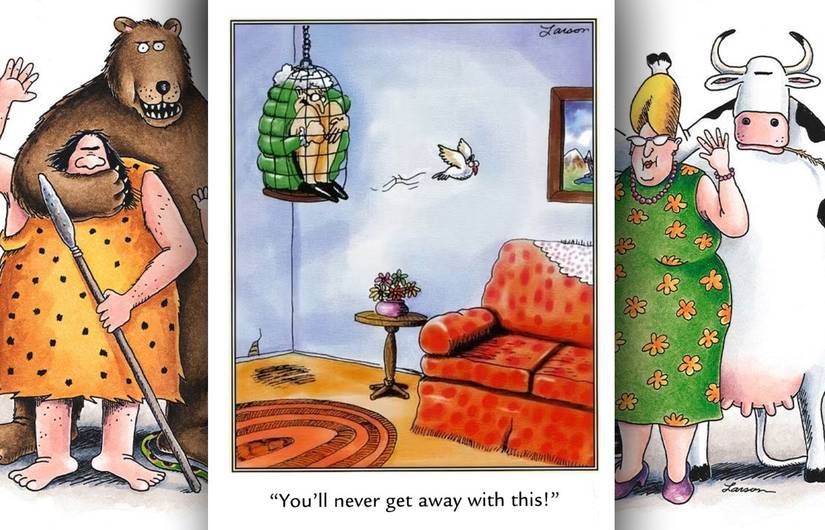 far side evil pet bird