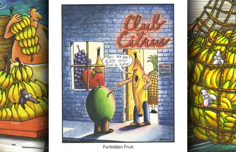 far side forbidden fruit comic