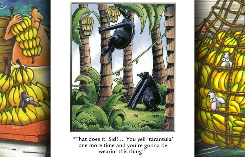 far side gorilla comic