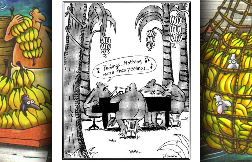 far side gorilla song comic