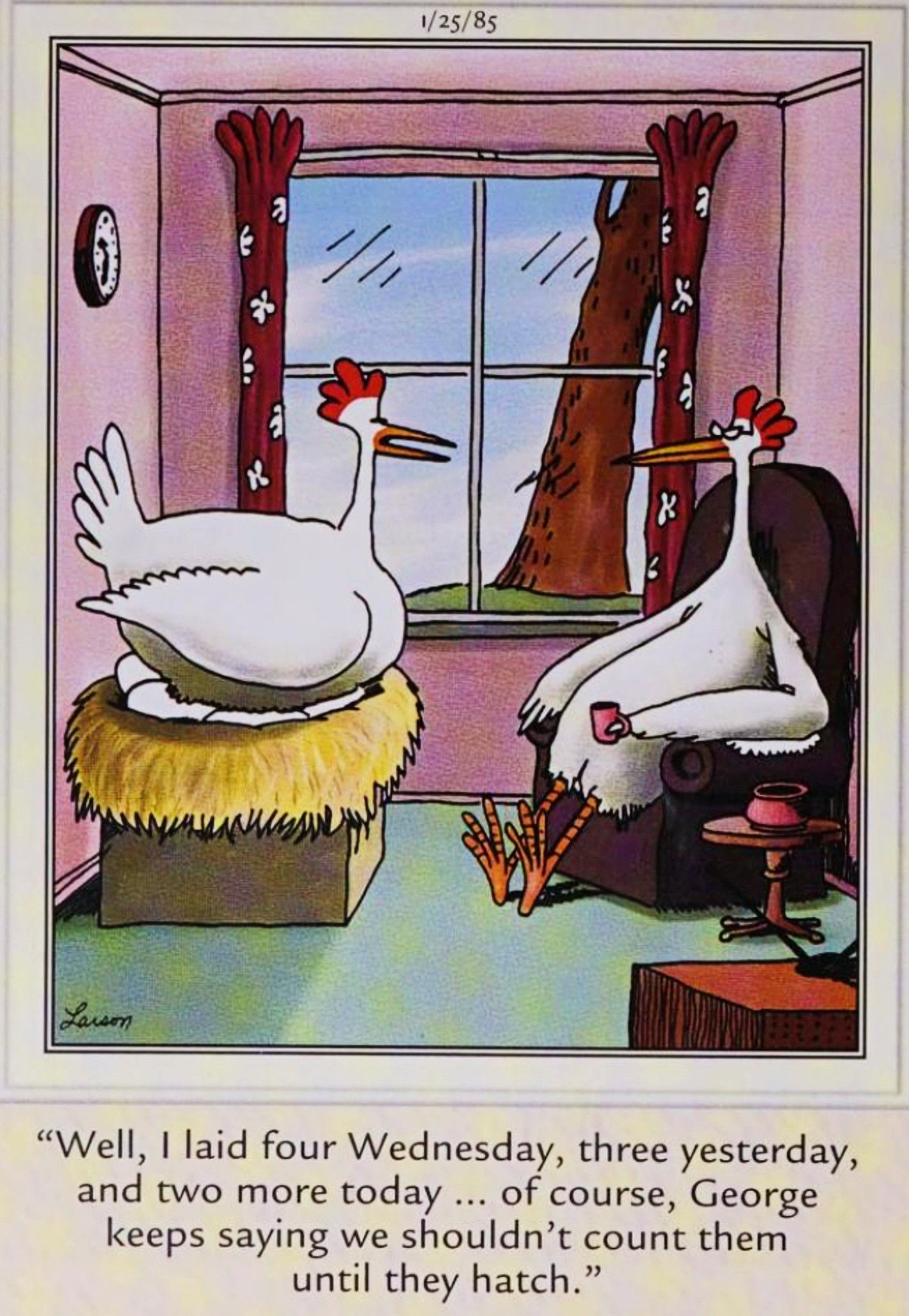 Far Side, January 25, 1985, a chicken saying that her husband doesn't like to tell her eggs before shocking