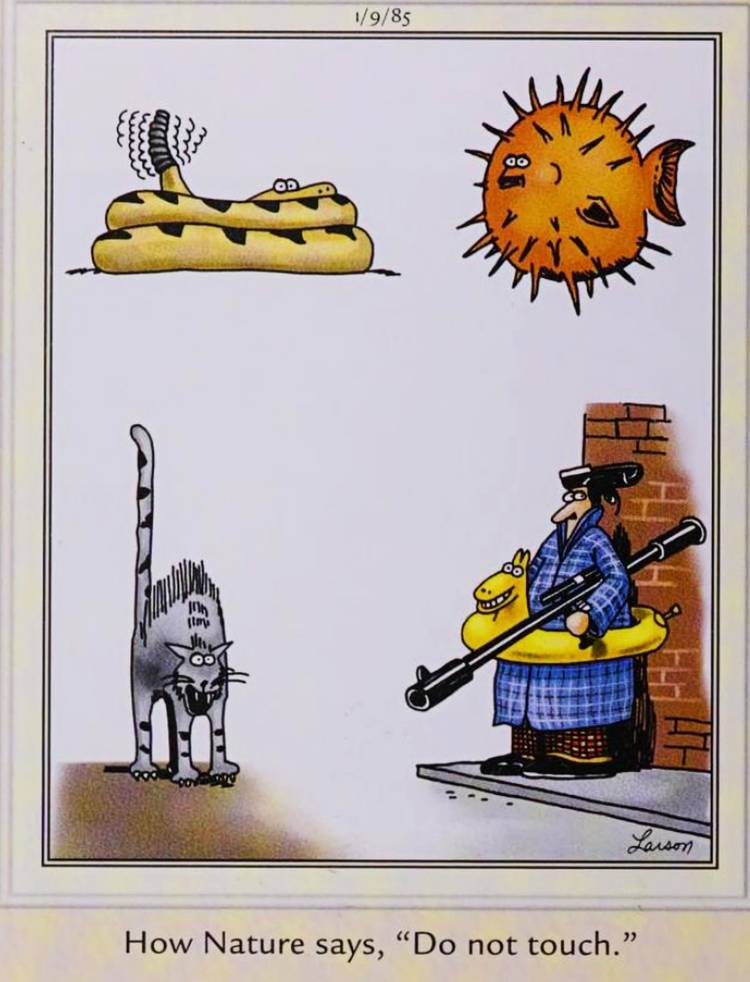 Far Side, January 9, 1985, captiond 'how nature says do not touch'