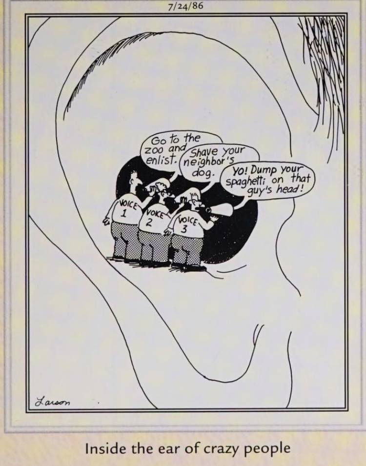 Far Side, July 24, 1986, captioned 'inside the ear of crazy people'