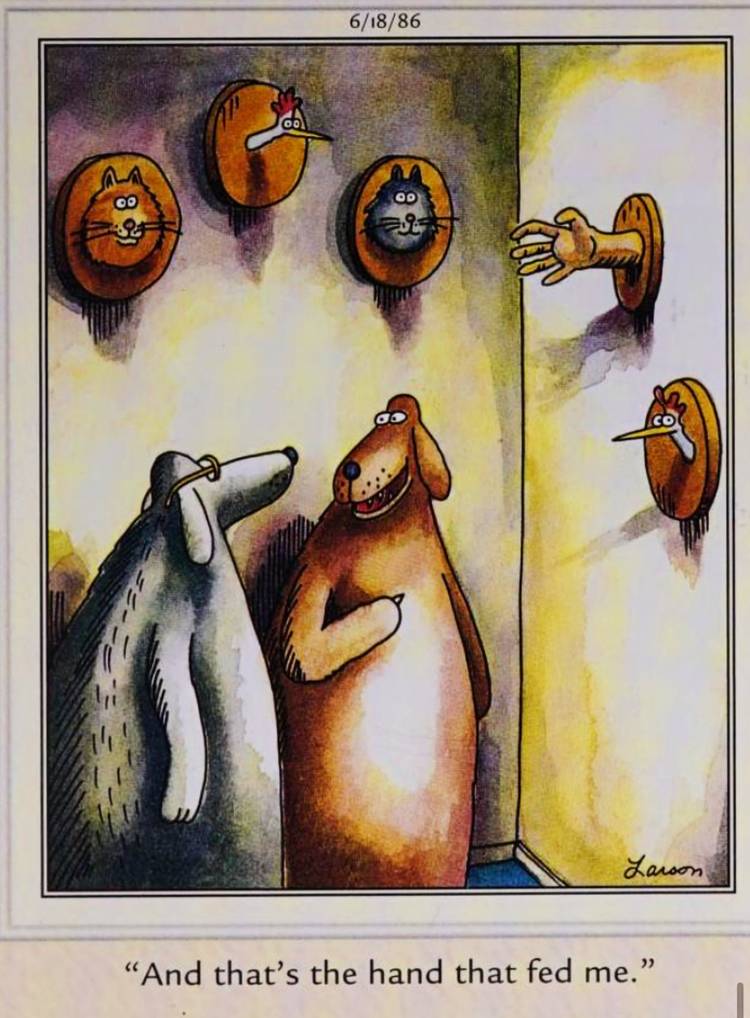 Far Side, June 18, 1986, a dog shows off 'the hand that fed [him]'mounted on the wall