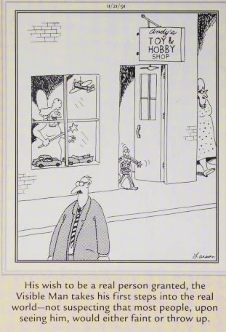 Far Side, November 21, 1991, 'the Visible Man' becomes real, to the horror of people who encounter him