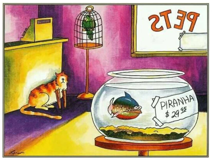 far side pet shop pirahna comic
