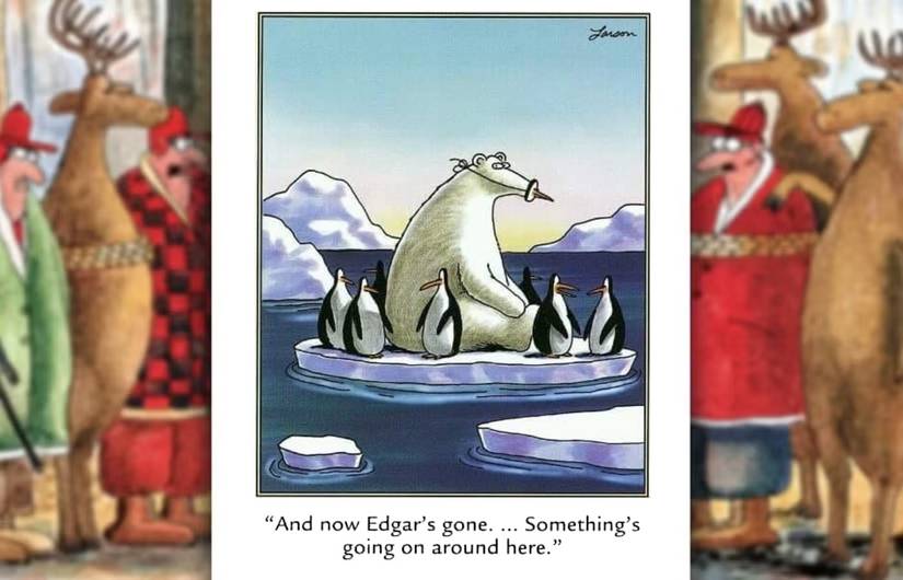 far side polar bear eating penguins comic