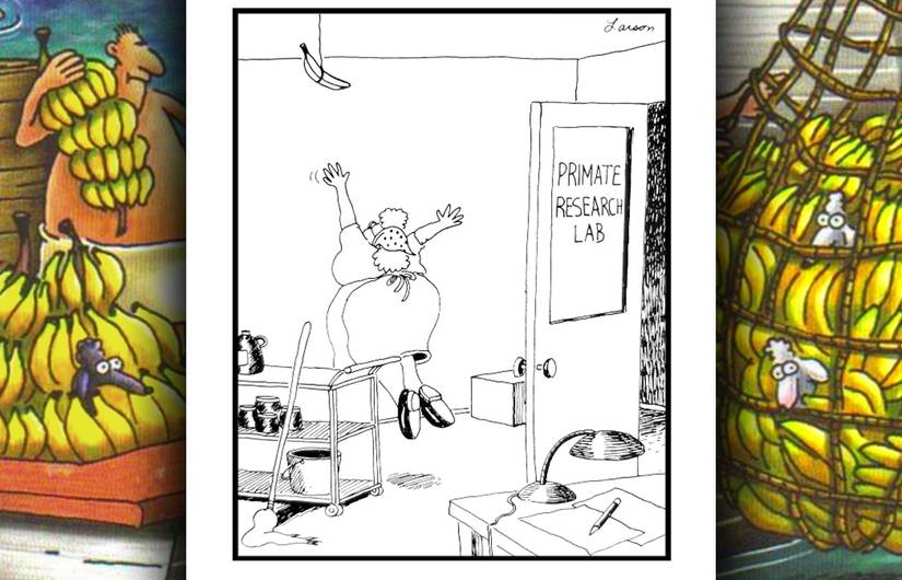 far side primate research lab comic