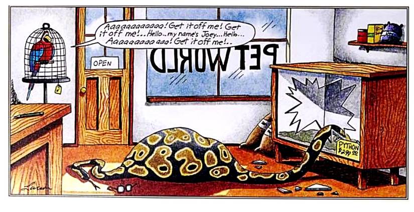far side python pet shop comic