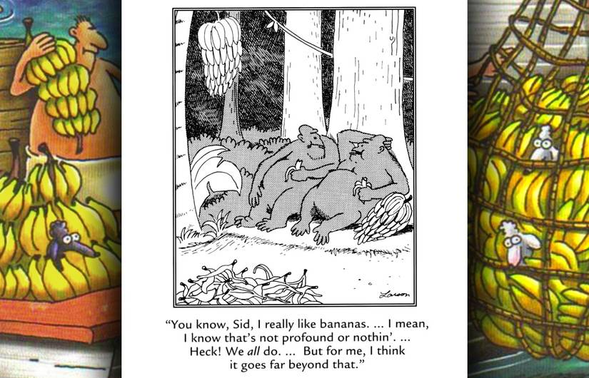 far side really like bananas comic