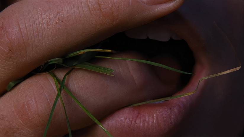 Fingers going into a mouth in Wuthering Heights 2026
