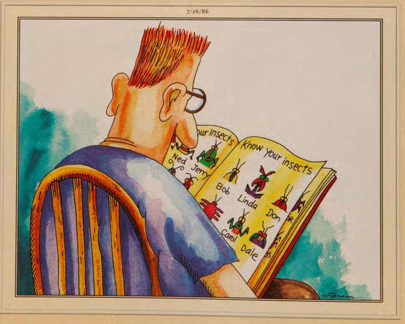A boy reading an insect book in The Far Side.