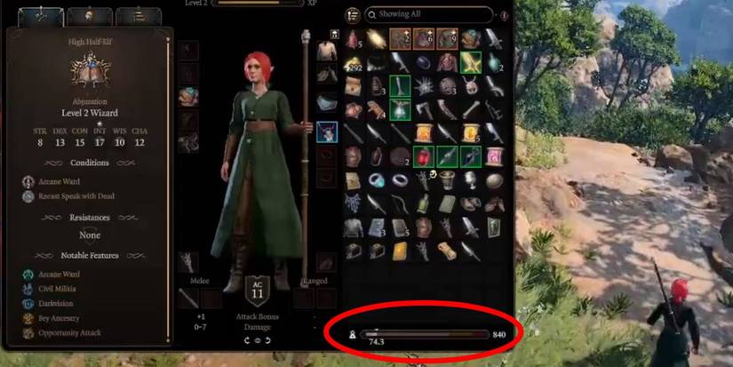Baldur's Gate 3 character with 840 carry weight limit from Carry Weight Increased mod
