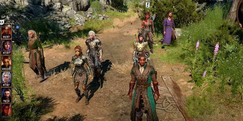 Baldur's Gate 3 larger party with Party Limit Begone mod active