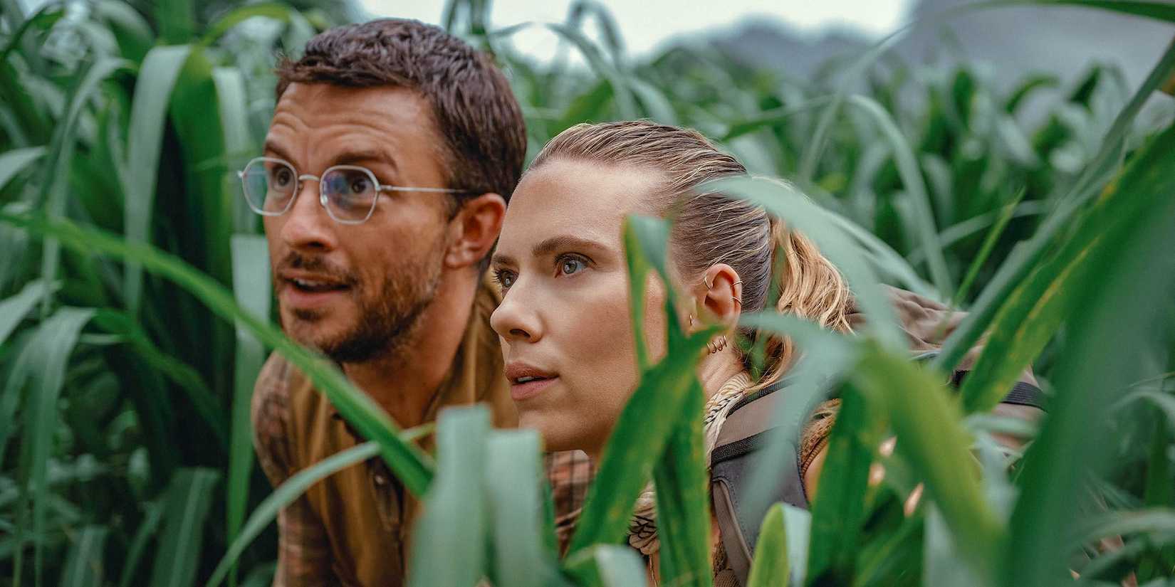 Dr. Henry Loomis (Jonathan Bailey) and Zora Bennett (Scarlett Johansson) hidden among the vegetation, observing in Jurᴀssic World Rebirth