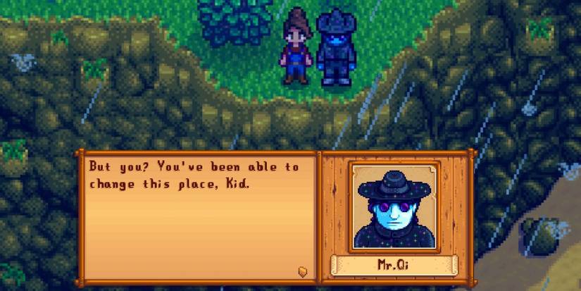 The player having a discussion with Mr. Qi on a cliff in Stardew Valley
