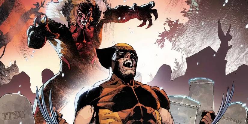 Sabretooth lunging at Wolverine from behind in a graveyard.