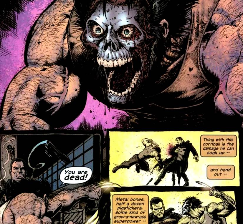 WOLVERINE VS PUNISHER COMIC FIGHT 3
