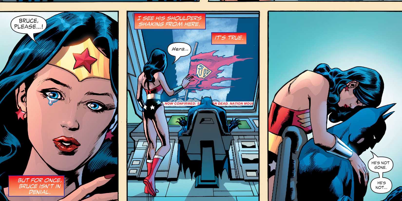 Wonder Woman Comforting Batman after Superman's Death DC