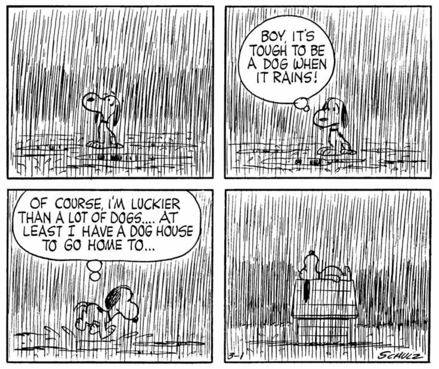 Snoopy stuck in the rain