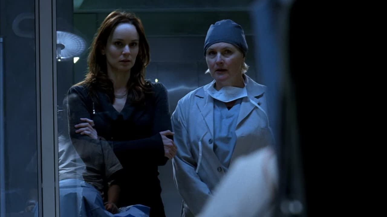 Prison Break - Season 4 Summary, Trailer, Cast, and More